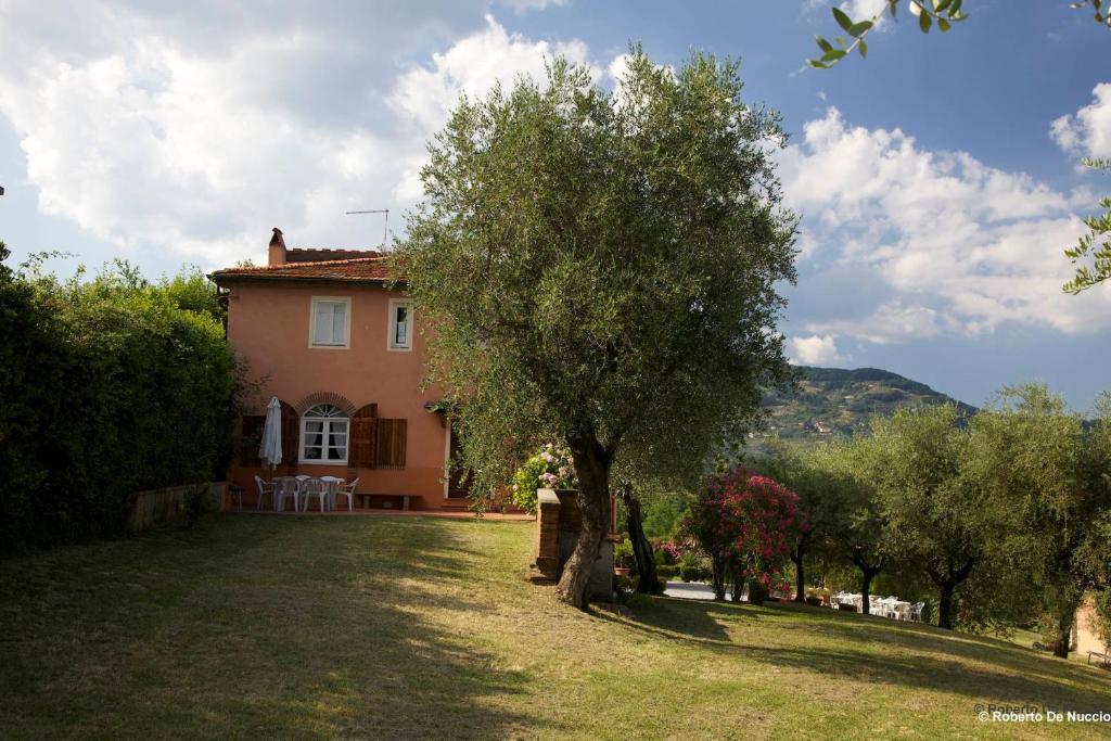 Tenuta Gaetano Spadaro Capannori Værelse billede