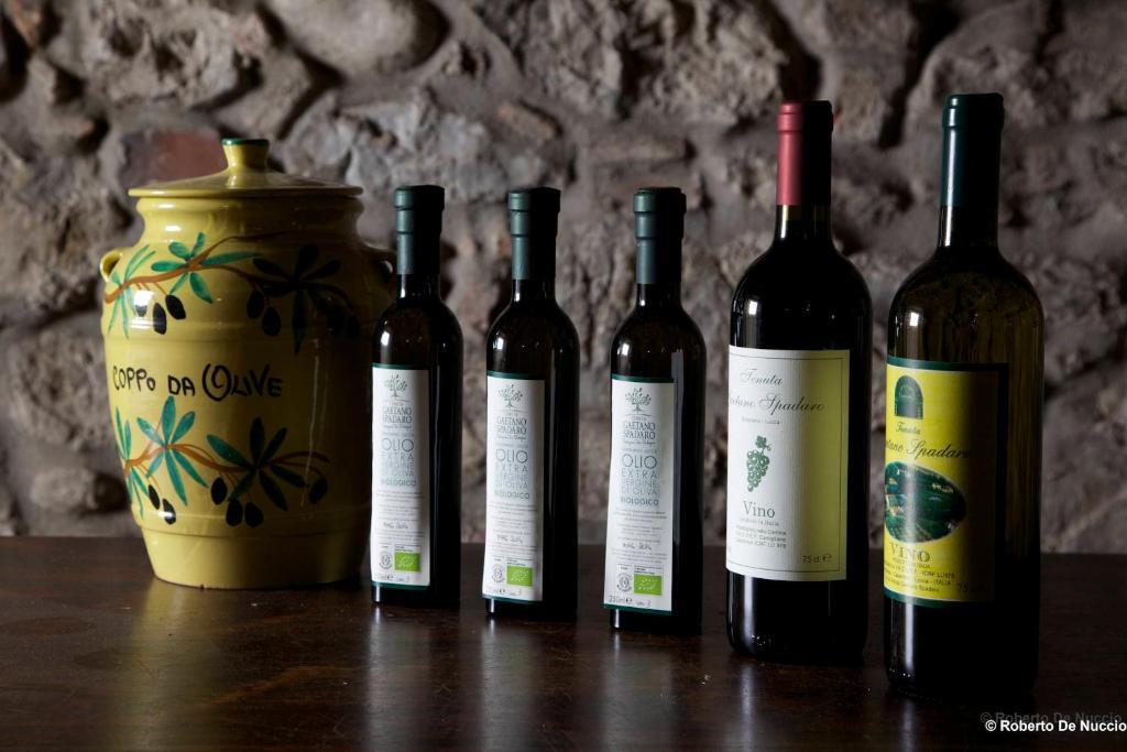 Tenuta Gaetano Spadaro Capannori Eksteriør billede